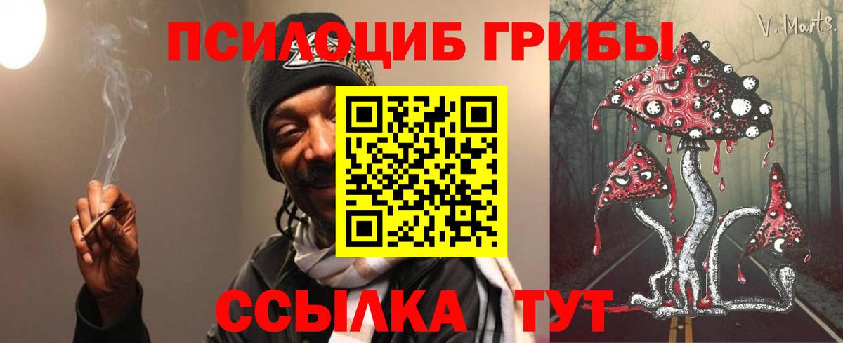 Псилоцибиновые грибы Cubensis  Вход с VPN  Нефтеюганск 